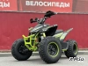 Квадроцикл PROMAX RAPTOR 300 AIR Monster