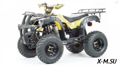 Квадроцикл PROMAX ATV 300