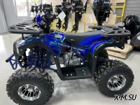 Квадроцикл PROMAX SPACE 200