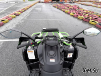 Квадроцикл PROMAX RENEGADE 280 WINCH PRO (2025)